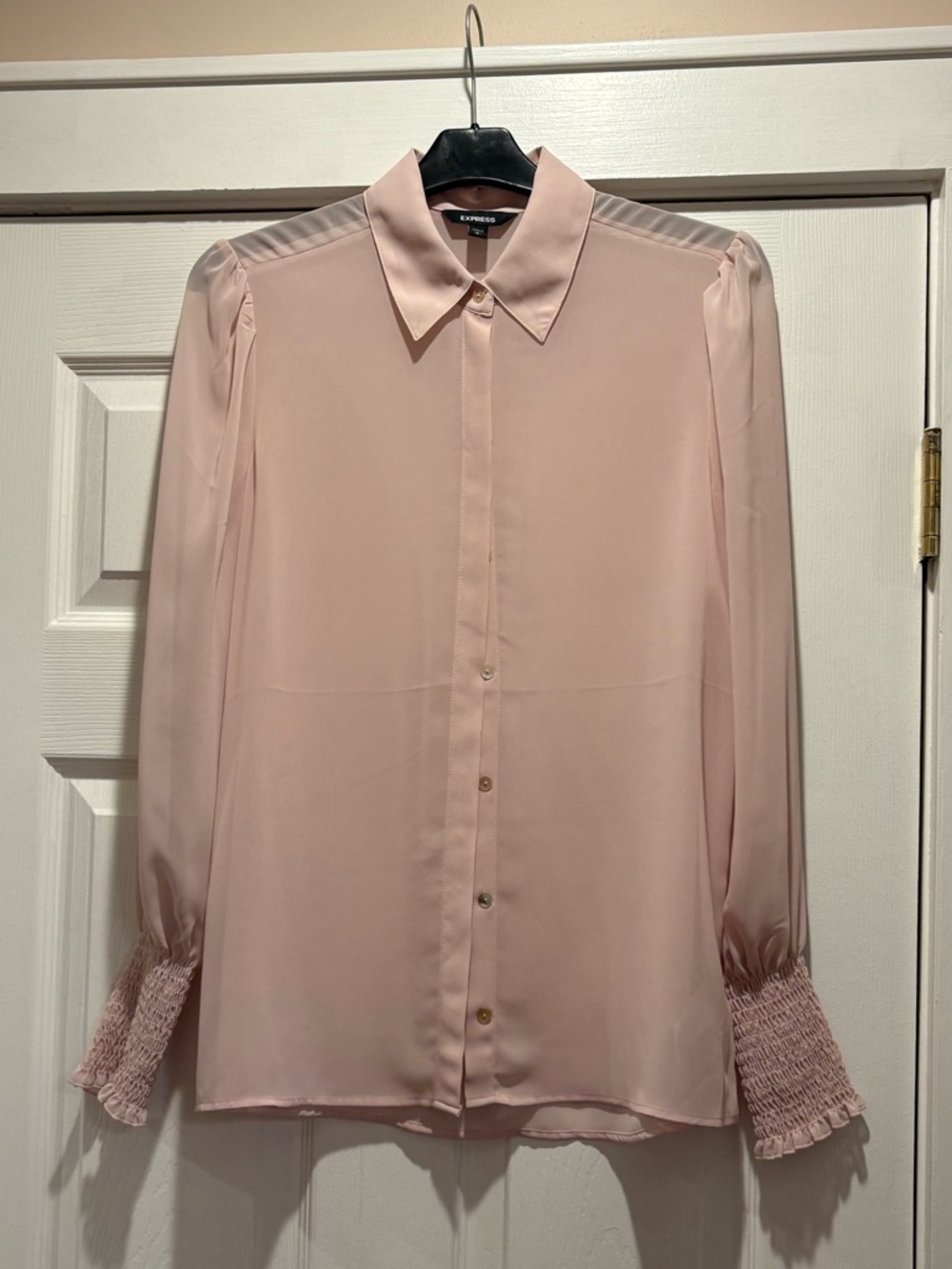 Express Sheer Light Pink Button-Front Blouse with Smocked Cuffs
